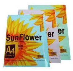 Giấy bìa màu SunFlower 180gms 5 màu (Thái Lan)